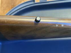 Benelli Raffaello Crio