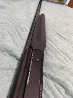 Benelli Raffaello