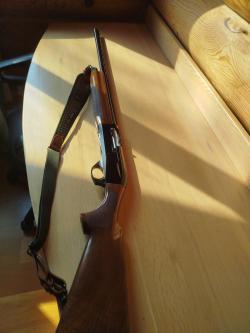 BINELLI MONTEFELTRO 