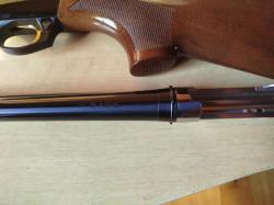 BINELLI MONTEFELTRO 