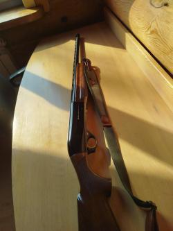 BINELLI MONTEFELTRO 