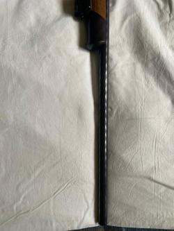 CZ Eboni edilion cal 3006