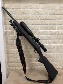AR-15 Gilboa/Ruger