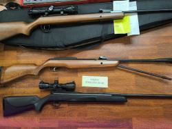 Diana 350 / Gamo CFR Whisper Royal / Diana 31 / KRAL Puncher 