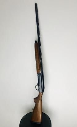 Pietta zephyrus 3
