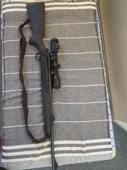 Sauer 303