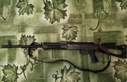 Сайга 20С