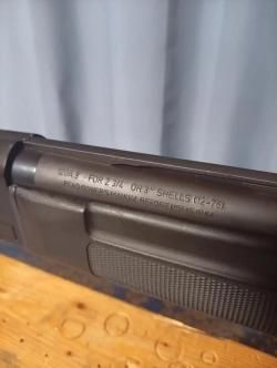 Stoeger 2000