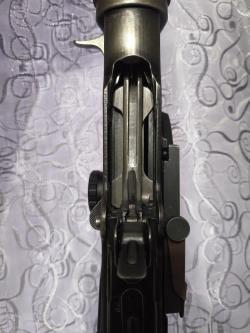 Тигр 308