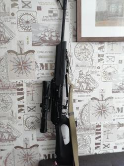 Веперь 308