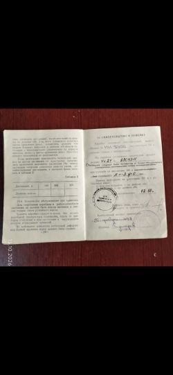 Вепрь сок 94