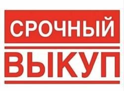 Выкуп товаров для охоты