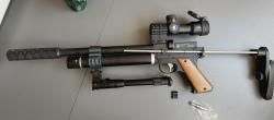 ZR Arms PP750L 