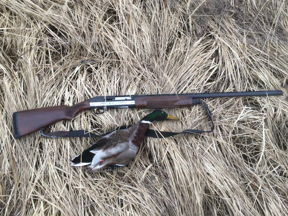 Stoeger 2000 deluxe с доп прикладом и цевьем